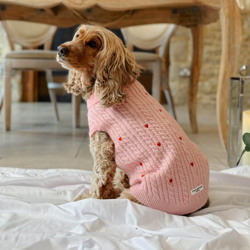 Cocopup Pink Heartstrings Jumper for Dog - S