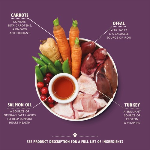 Lily's Kitchen Senior Recipe for Dogs