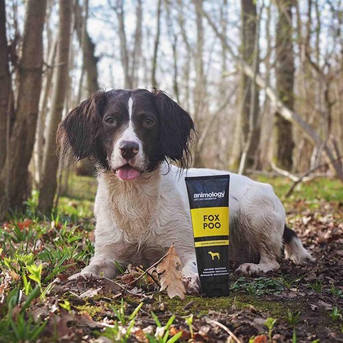 Animology Deodorising Fox Poo Shampoo for Dogs