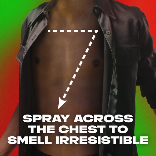 Lynx Africa Deodorant Bodyspray Travel Size