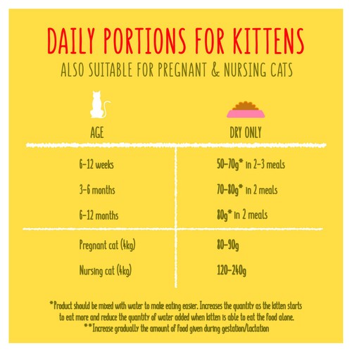 Go-Cat Kitten Chicken Turkey and Milk Dry Cat Food 