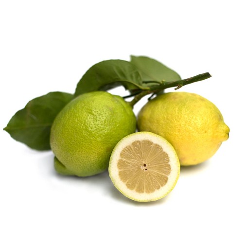 Natoora Large New Season Unwaxed Lemons