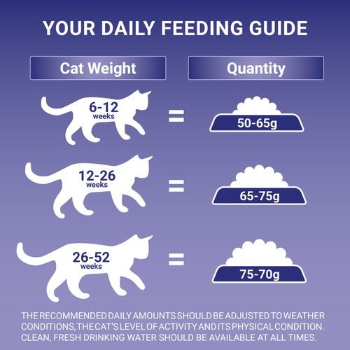 PURINA ONE Kitten Chicken Dry Cat Food