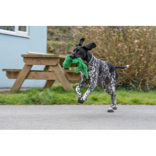 Petface Planet Crocodile Dog Toy