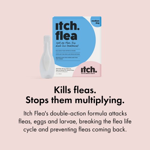 Itch Flea Medium Dog Spot-On Flea & Tick treatment (10-20kg)