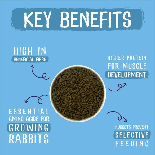 Burgess Excel Junior & Dwarf Rabbit Nuggets With Mint