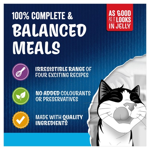 Felix As Good As it Looks Kitten Fish in Jelly Wet Cat Food