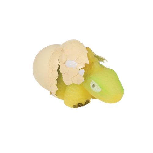 Hatch Your Own Dinosaur Egg