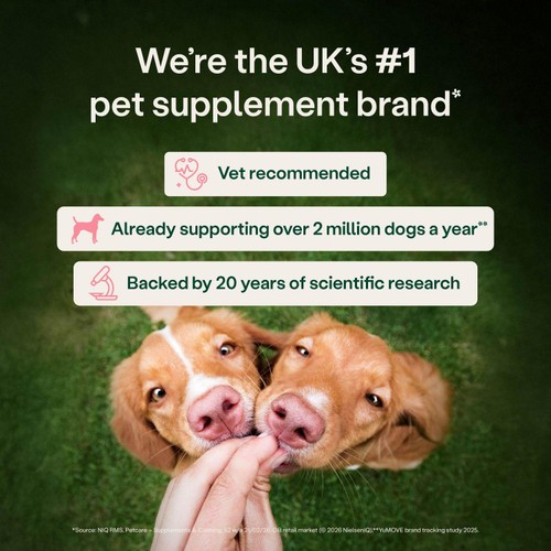 YuMOVE Digestive Support Rapid Powder for Dogs & Cats