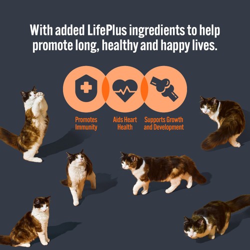 HiLife It's Only Natural Kitten Food - Tender Chicken