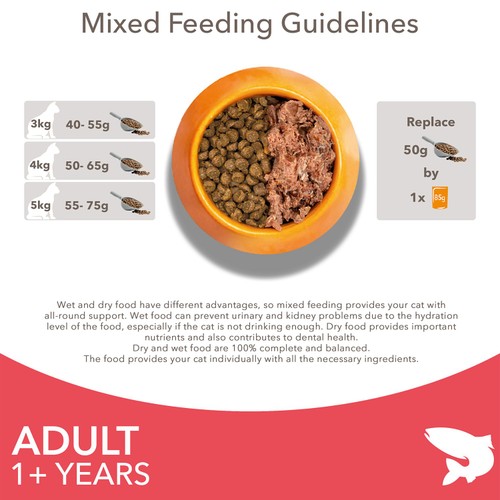 IAMS Advanced Nutrition Adult Cat Food With Salmon