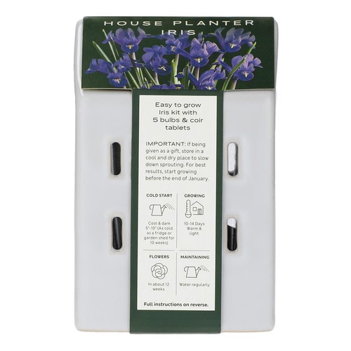 M&S House Planter Iris Bulb