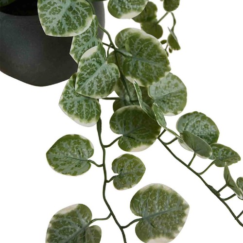 M&S Artificial Trailing Eucalyptus in Ceramic Pot, Grey