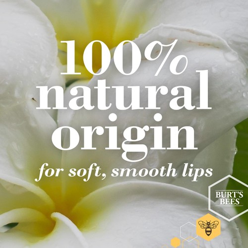 Burt's Bees 100% Natural Moisturising Lip Balm, Original Beeswax & Honey