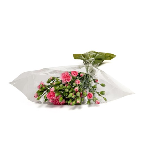 Spray Carnations
