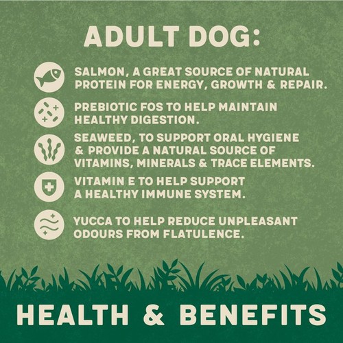 Harrington's Rich In Salmon & Potato Dry Dog Food