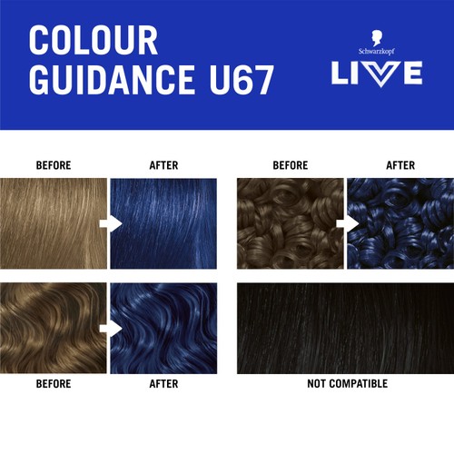LIVE Intense Colour U67 Blue Mercury