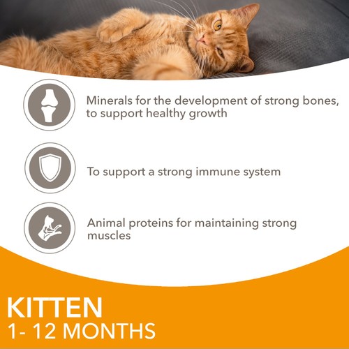 Iams Delights Kitten Chicken in Gravy Multipack