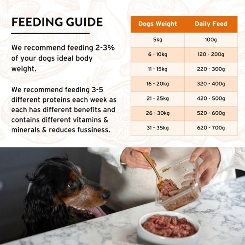 Benyfit Natural Tasty Turkey Complete Raw Dog Food