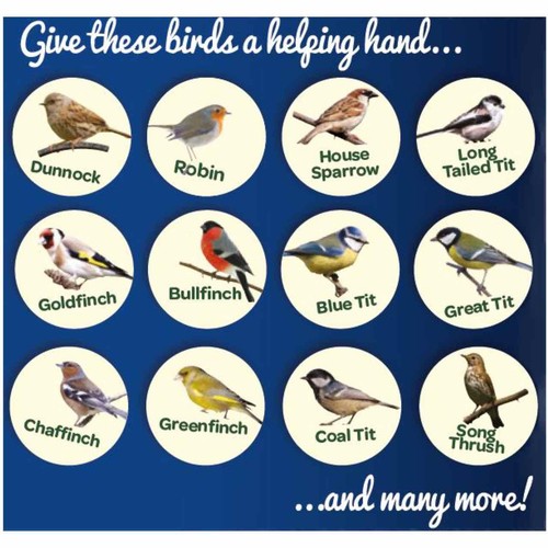 Peckish Mealworms For Wild Birds