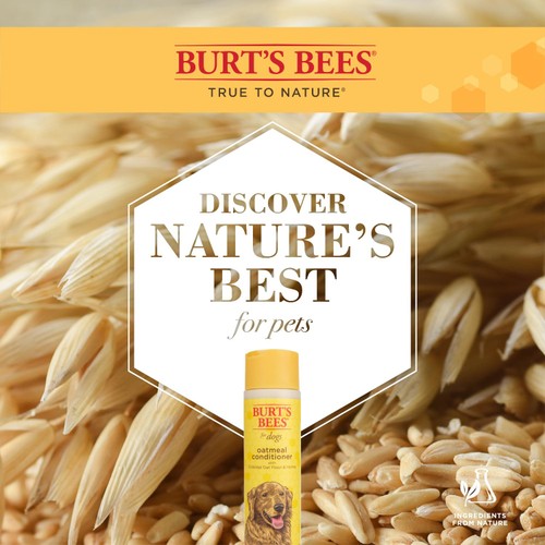 Burt's Bees Oatmeal Dog Conditioner for Dogs