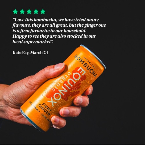 Equinox Organic Fiery ginger Kombucha