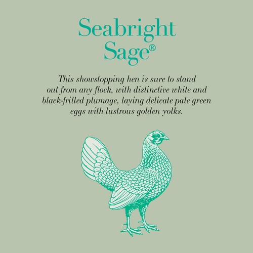Clarence Court  Seabright Sage 6 Free Range Eggs