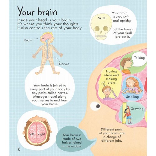 Look Inside Your Body, Lift The Flaps, Usborne Books