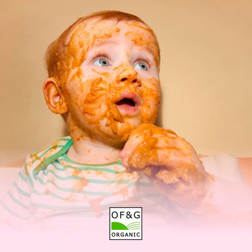 Little Freddie Veggie Chilli Baby Food Pouch 7+ Months