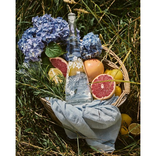 Cygnet Welsh Dry Gin