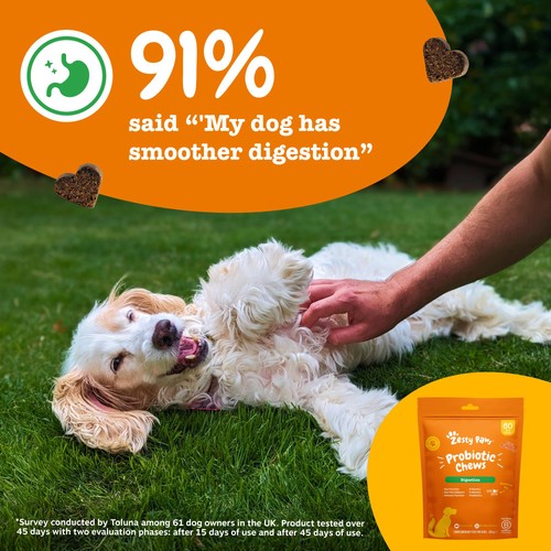Zesty Paws Probiotic Dog Chews Pumpkin Flavour