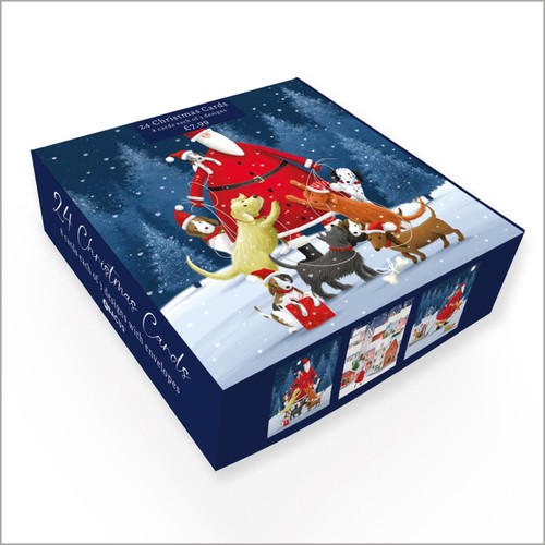 Santa & Animals Bumper Box Christmas Card Pack