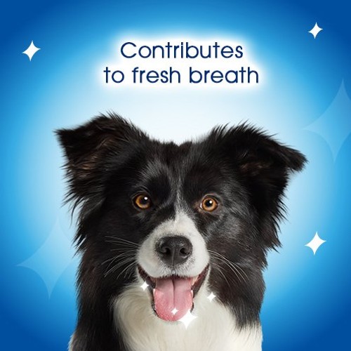 Dentalife Large Dental Chicken Dog Chews