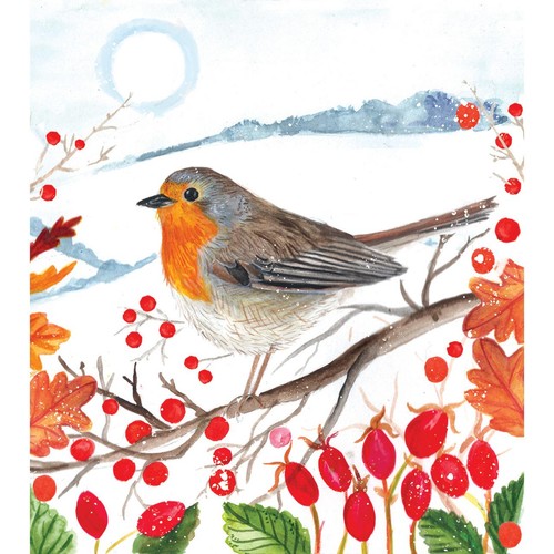 National Trust Robin Charity Assortment Christmas Card Pack