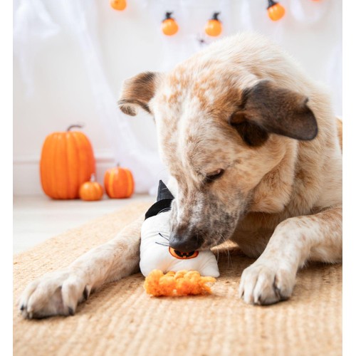 Spirit & Spook Gregory Ghost Dog Toy