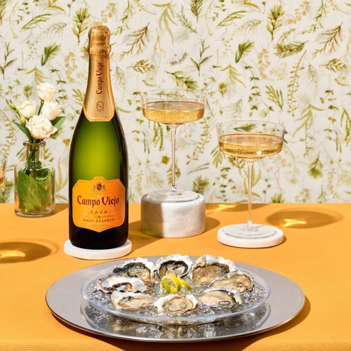 Gran Campo Viejo Cava Brut 