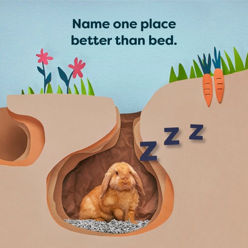 Back 2 Nature Small Animal Paper Bedding/Litter