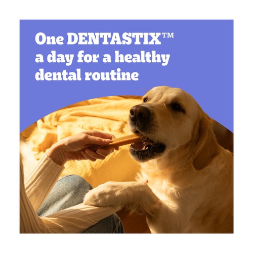 Pedigree Dentastix Daily Adult Small Dog Treats 35 x Dental Sticks