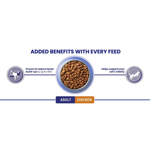 Purina One Chicken Dry Cat Food