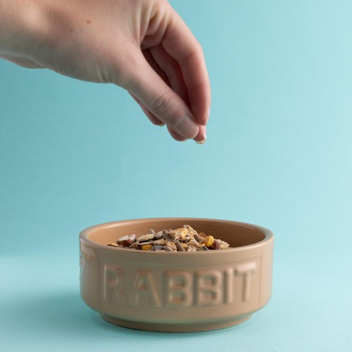 Mason Cash Lettered Rabbit Bowl, 13cm