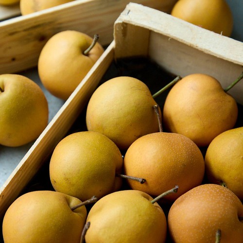 Natoora Nashi Pears