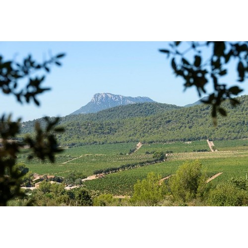 Chateau La Gordonne Organic Provence Rose