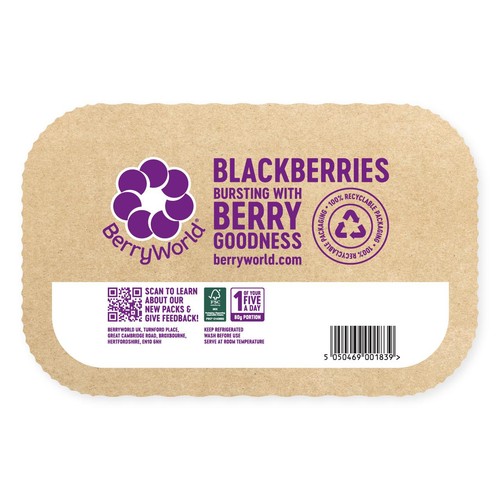 BerryWorld Blackberries