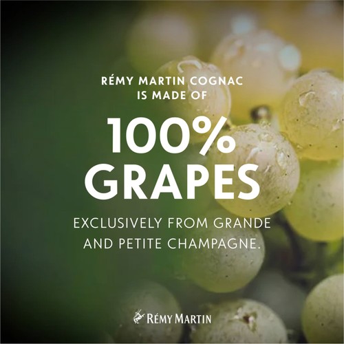 Remy Martin VSOP Cognac Fine Champagne