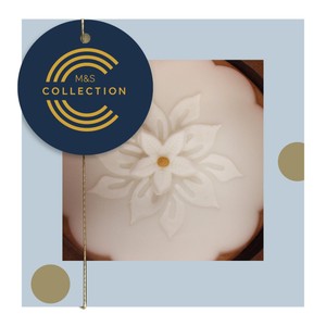 Collection Matured Rich Fruit Cake