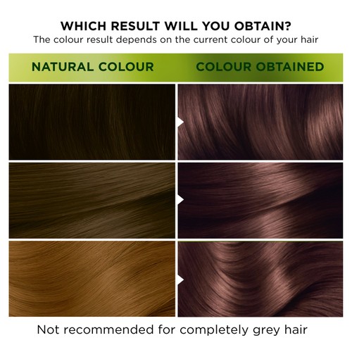 Garnier Nutrisse Ultra-Colour 4.15 Iced Coffee Permanent Hair Dye