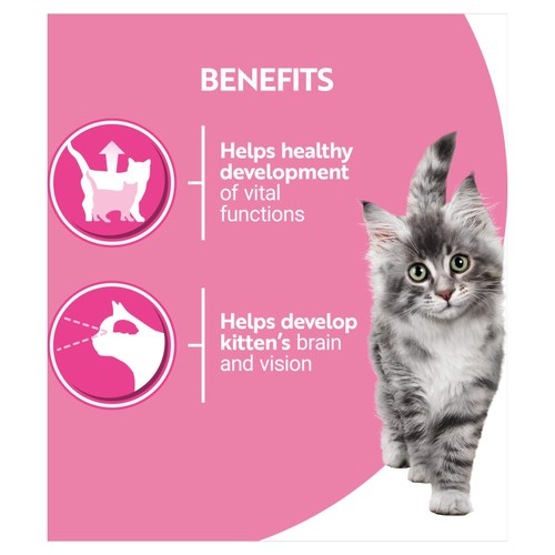 PURINA ONE Kitten Mini Fillets Salmon and Chicken Wet Cat Food