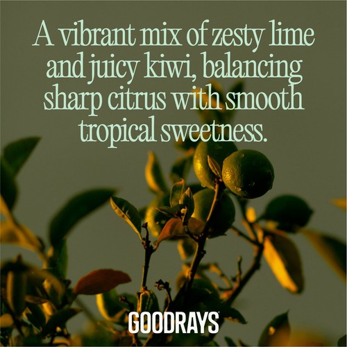 Goodrays Re Focus Zesty Lime & Kiwi
