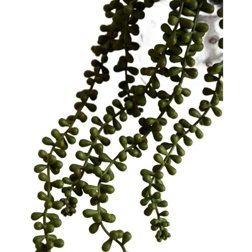 M&S String of Pearls in Bobble Ceramic Pot, Green