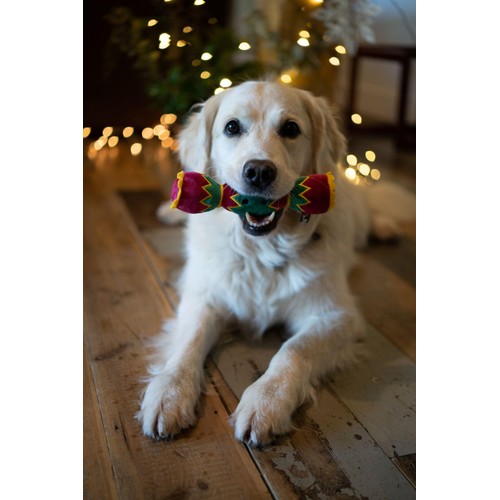 Petface Carys Cracker Plush Christmas Dog Toy